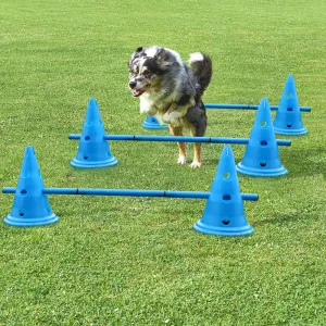 Agility Training Equipment Jump Bars