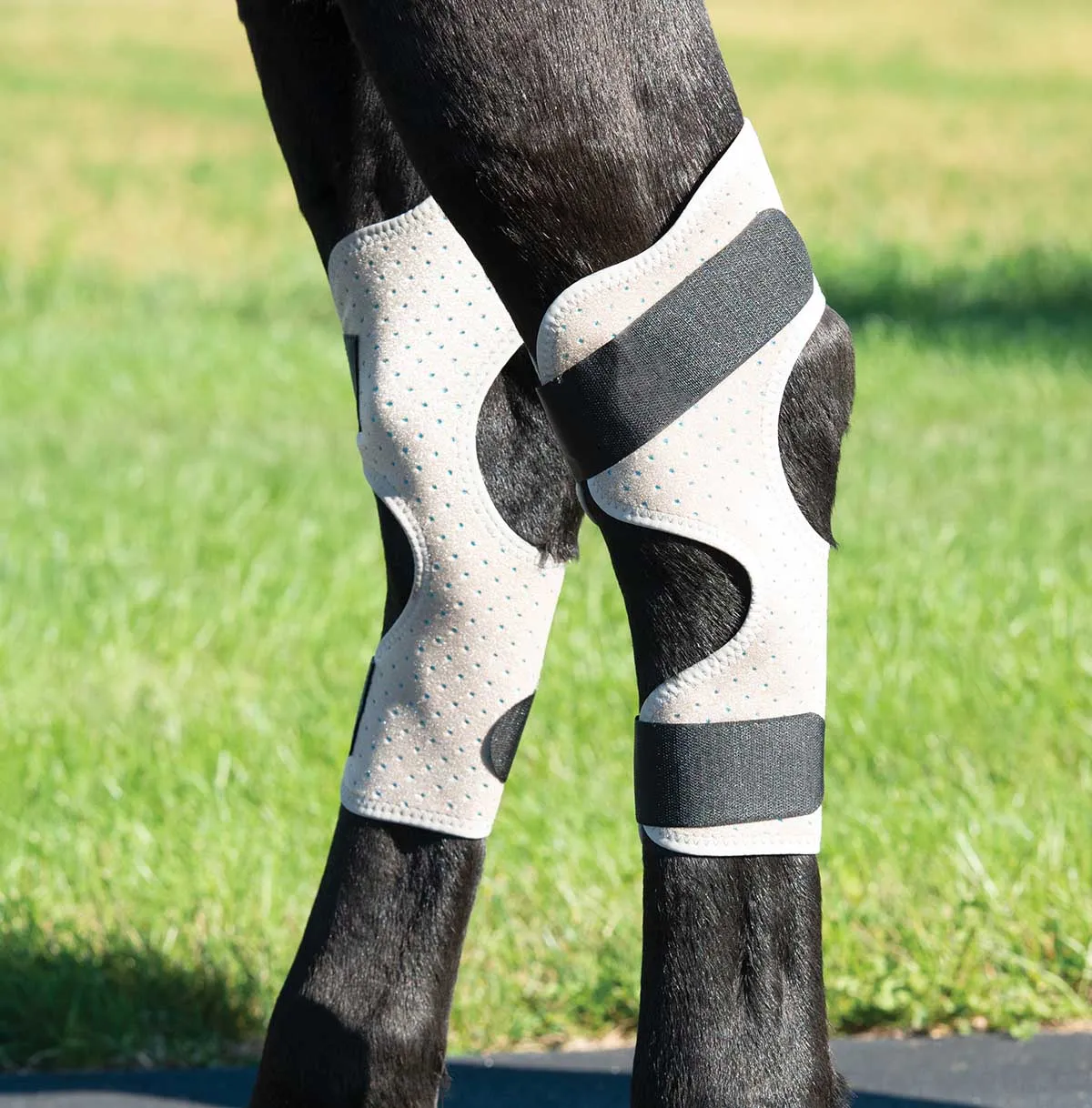 CoolCore Equine Icing and Cooling Hock Wraps