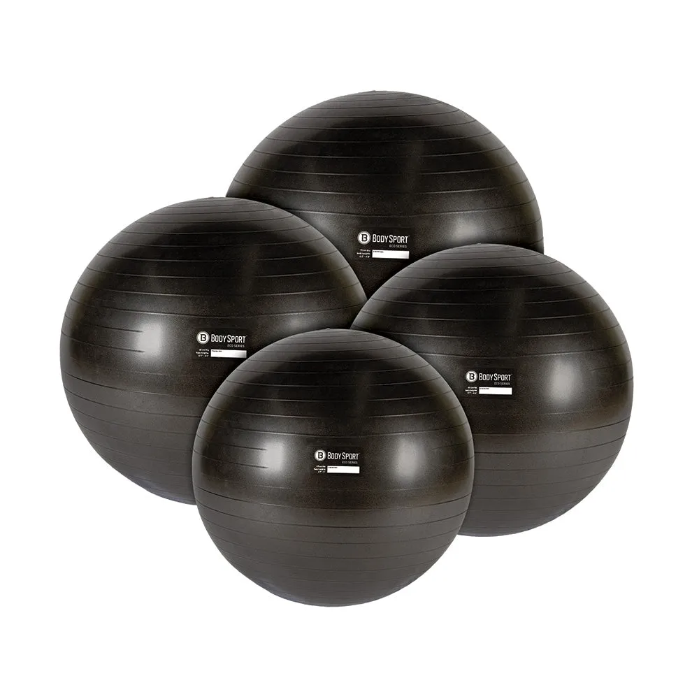 Eco Series Exercise Balls