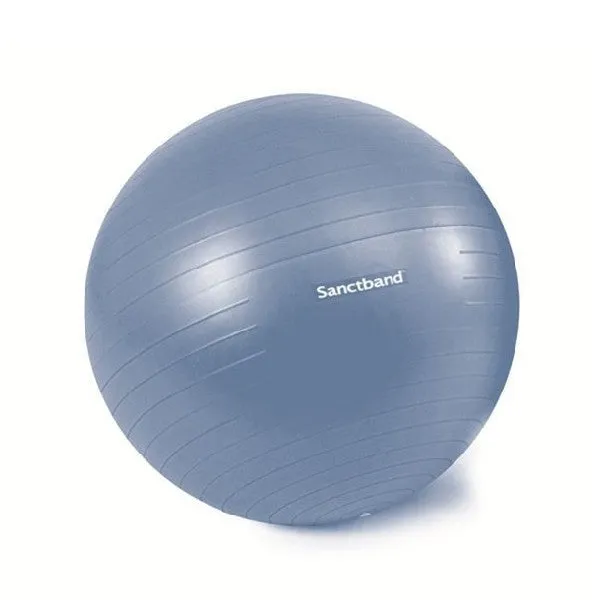 Sanctband Exercise Balls