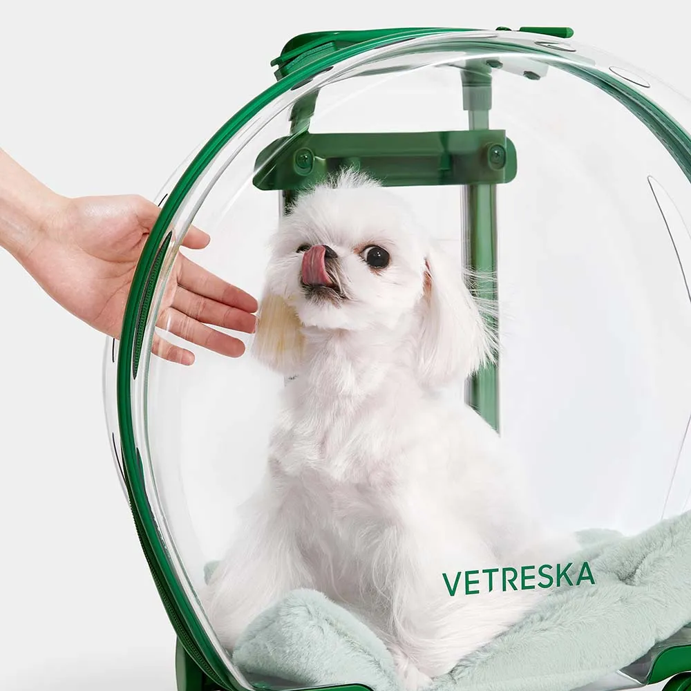 VETRESKA Bubble Carrier For Cats & Dogs (Green, Transparent)