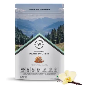 Wellbeing Nutrition Organic Vegan Plant Protein Isolate Powder | 22g Protein, 5g BCAA European Pea & Brown Rice Protein | Superfoods, Fiber for Muscle Growth & Recovery | French Vanilla - 500gm